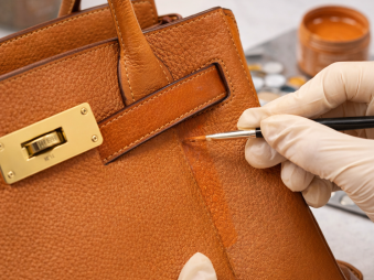 Colour_Revival_bagspagoldcoast